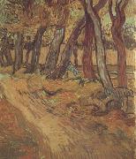 The Garden of Saint-Paul Hospital with Figure (nn04) Vincent Van Gogh